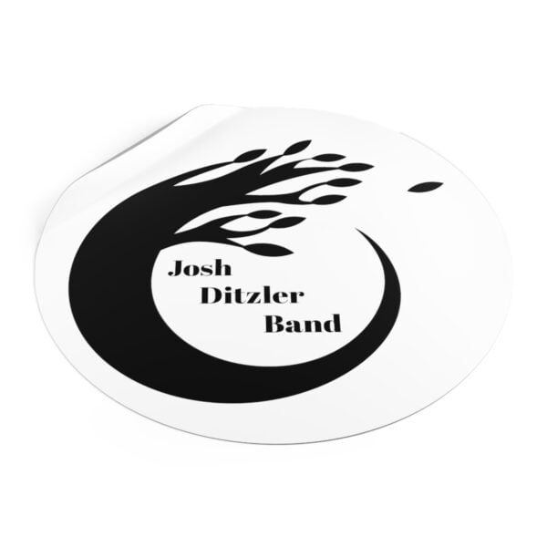 Josh Ditzler : Musician - Blues, Rockabilly, Irish Folk